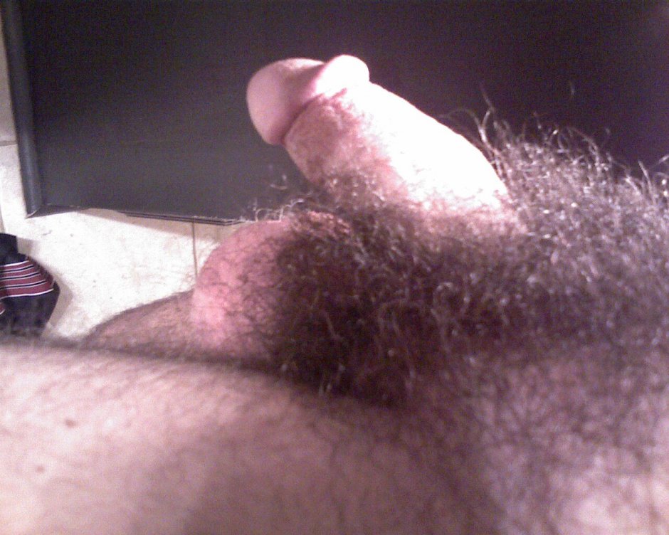 A small hairy penis