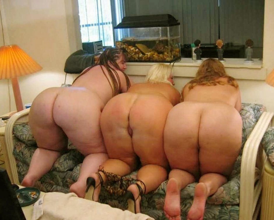Several thick naked asses