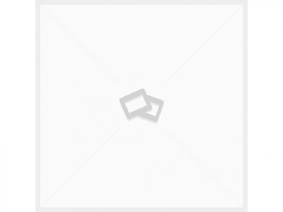NN-DF383BZPE (inverter)