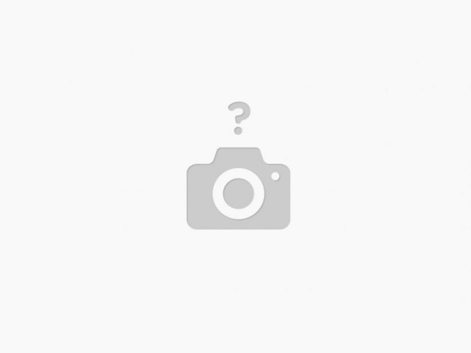 FBT LS 61A subwoofer