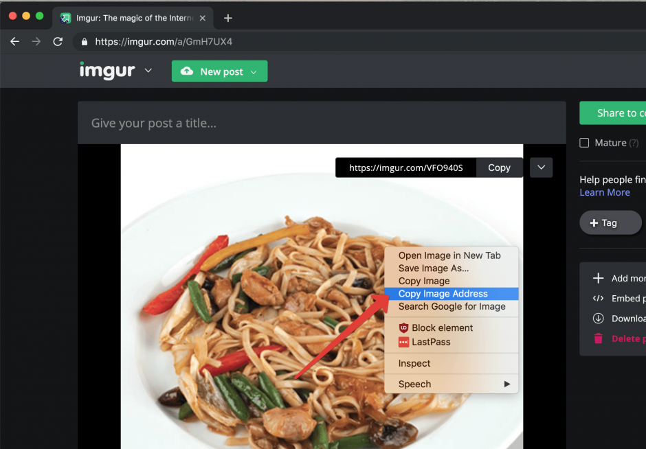 IMGUR download the photo