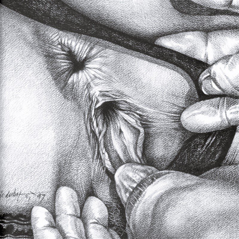 Pornographic drawings with a pencil
