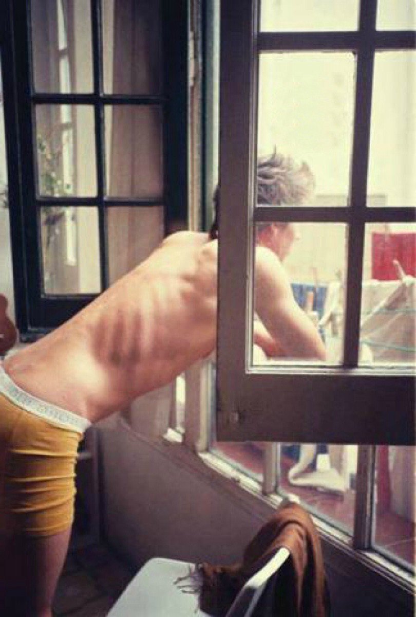 One Direction Nial Horan Torsos