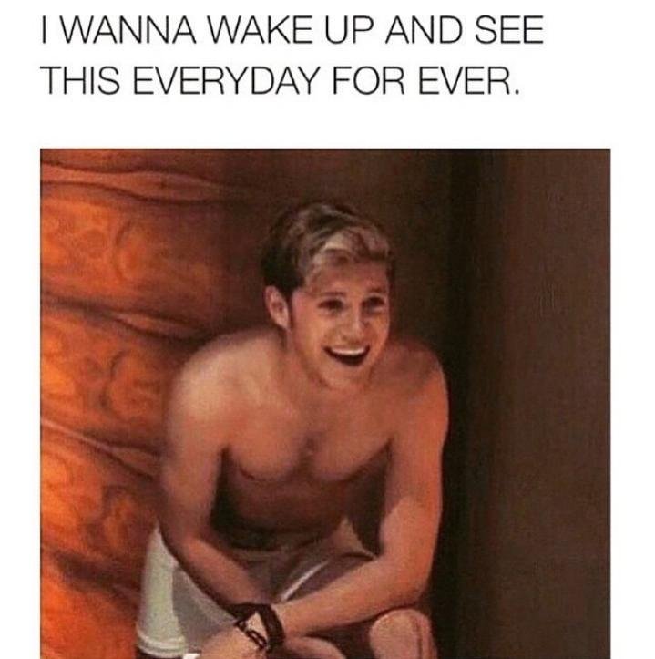One Direction Nial Horan Torsos
