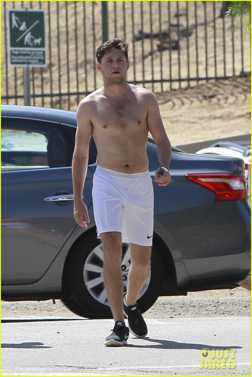 Niall Horan Nude