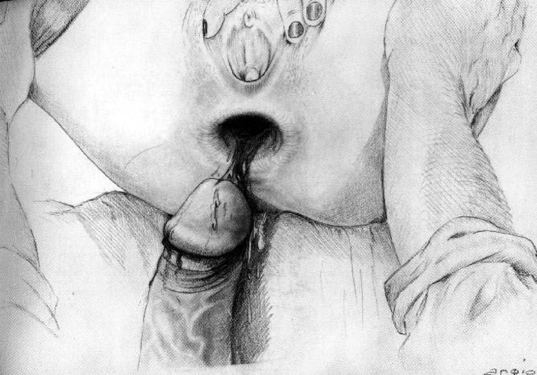 Drawing Anal Fuck - Pussy Ass Drawing - 51 porn photo