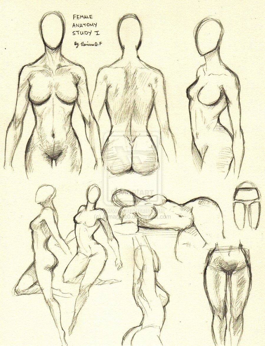 Halfbodi Reference