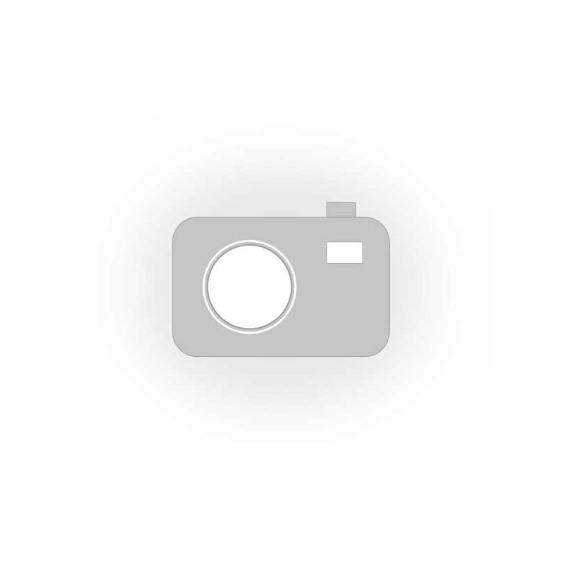 NN-DF383BZPE (inverter)