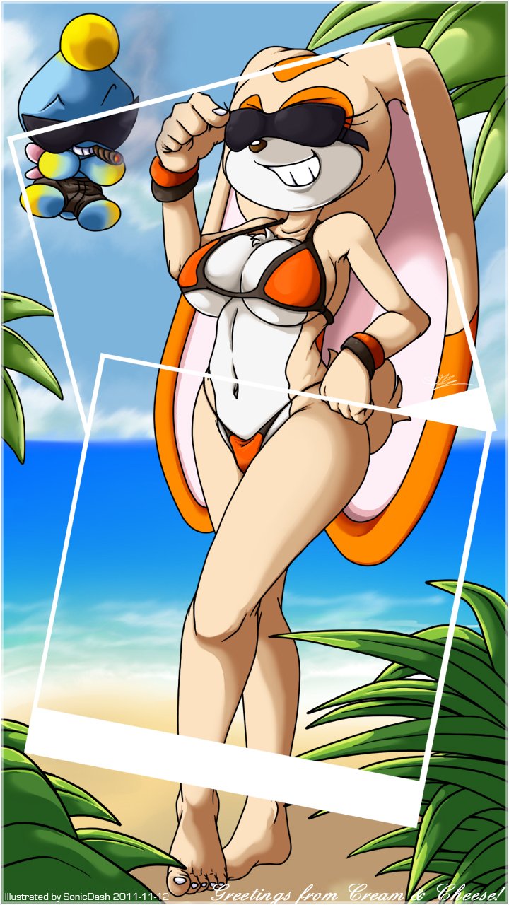 Sonic Cream The Rabbit Ero