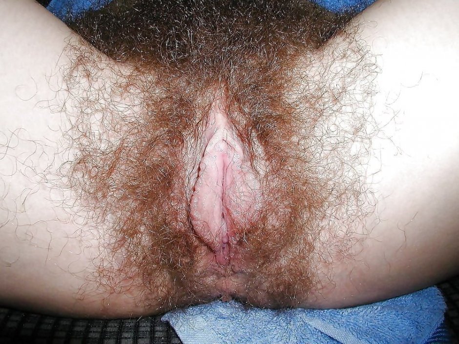Very hairy vagina