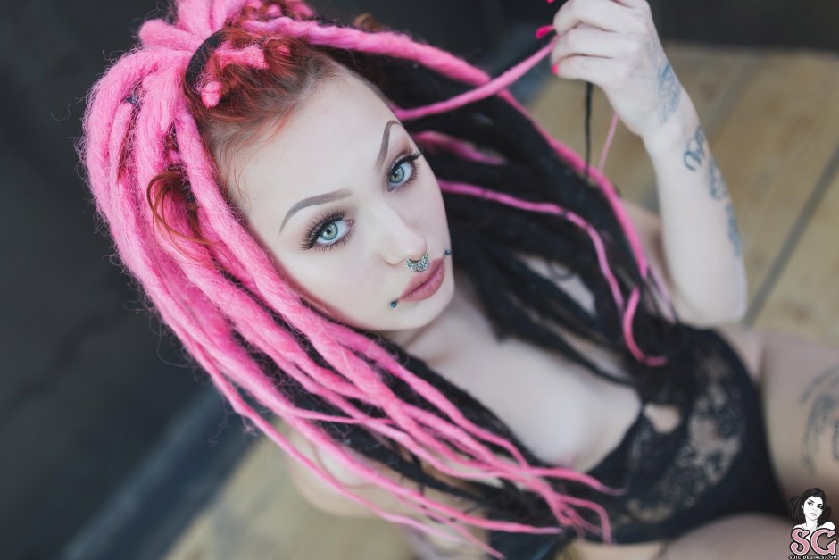 Paloma suicide