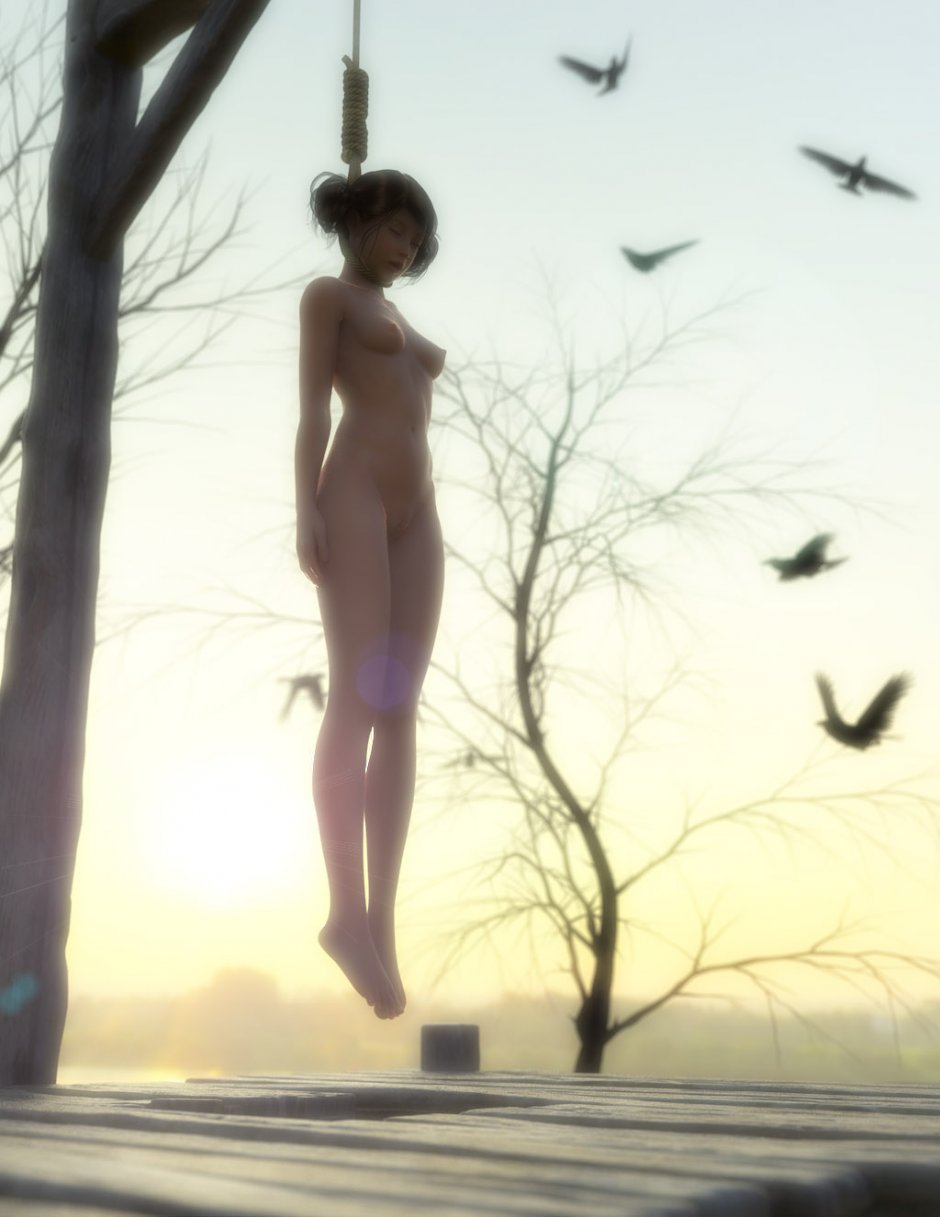 Erotic hanging