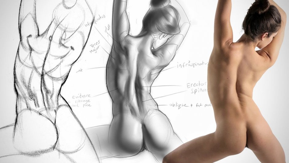 Reference poses naked man lol photo