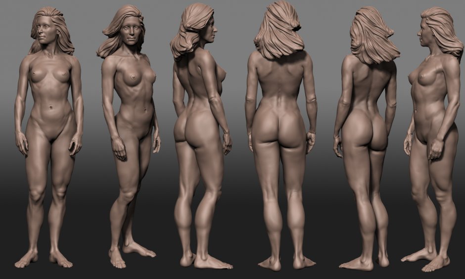 Human Anatomy for Artists Nude PhotoGraphy