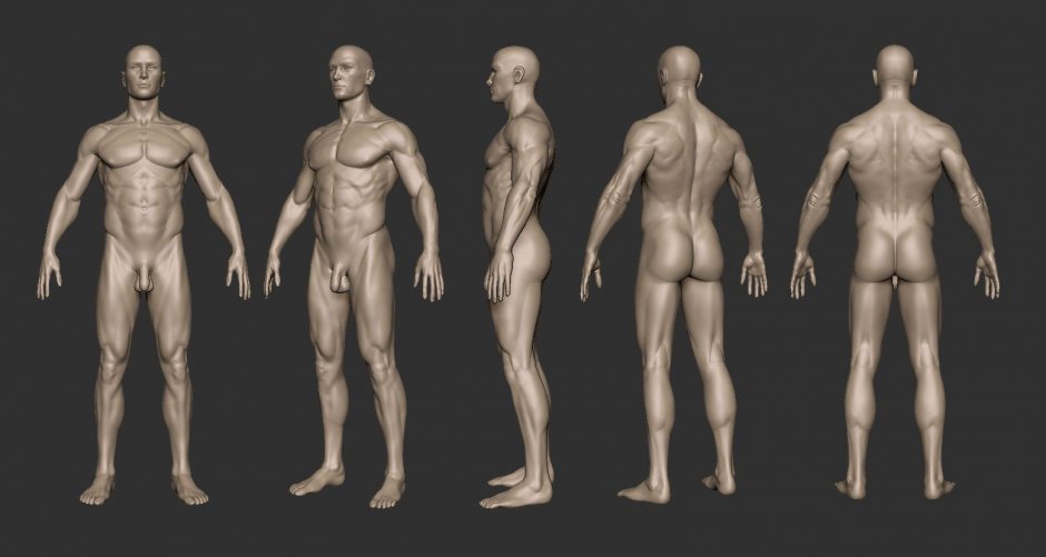 Men's poses photographer naked