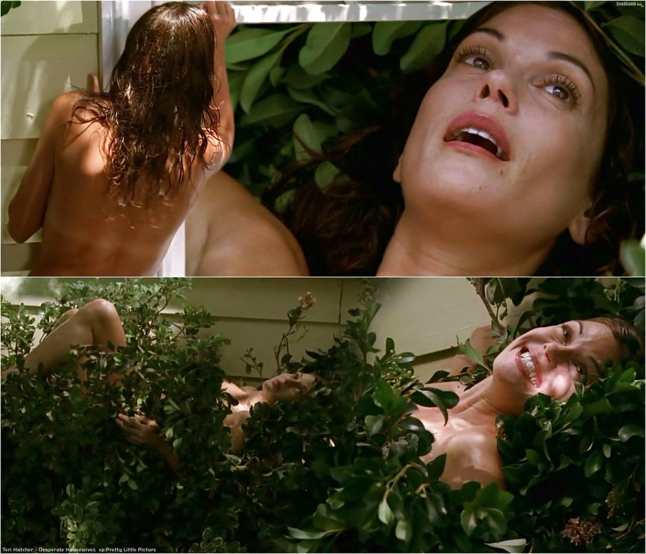 Desperate housewives erotic scenes