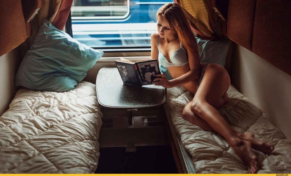 David Dubnitsky girl on a train