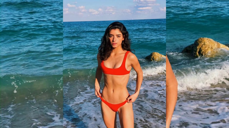 Dixie Damelio in a swimsuit