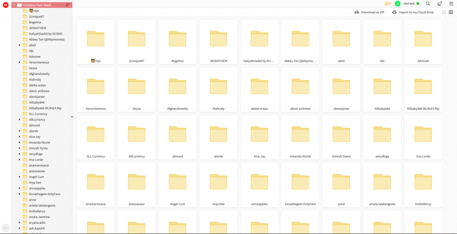 Mega.nz Onlyfan Leaks