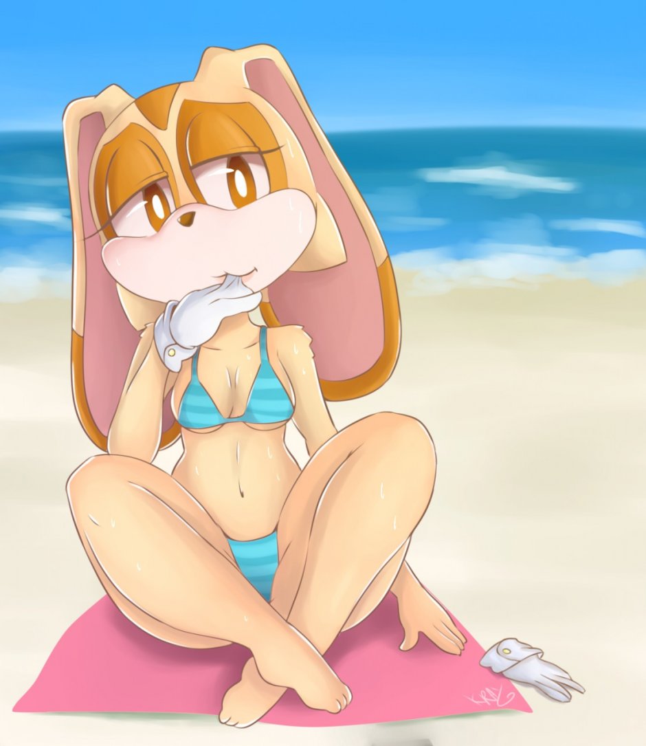 Sonic Cream The Rabbit Ero