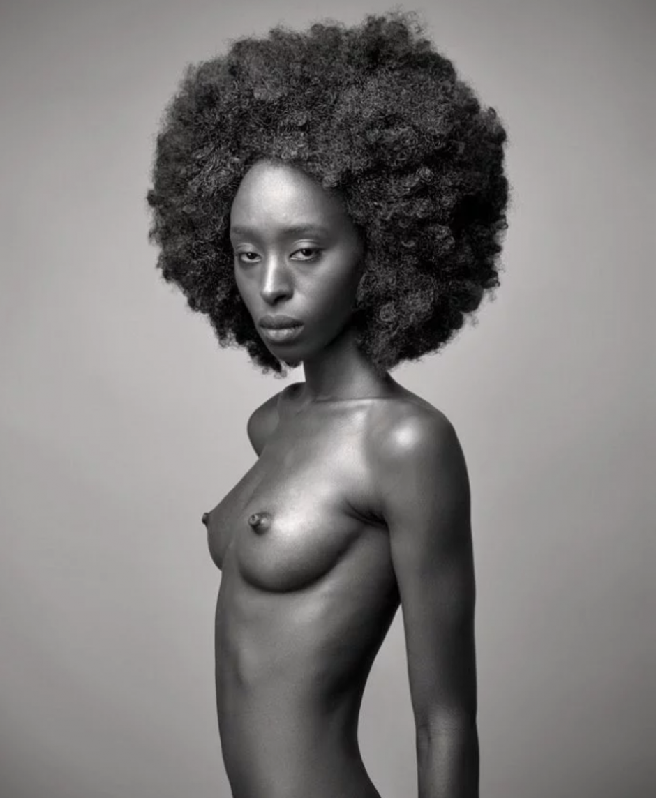 Women's portraits in the style of nude