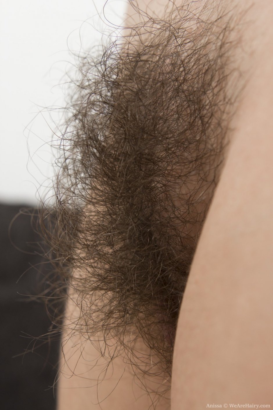 Gloval of female pubis
