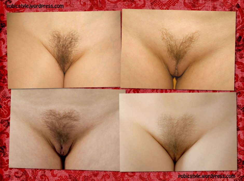 Light hair on the pubis
