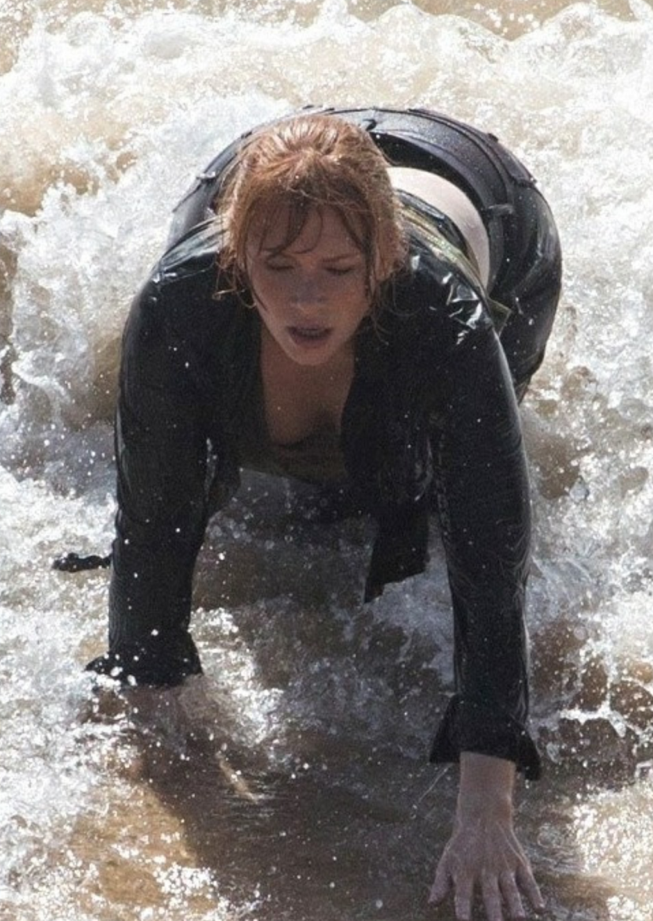 Bryce Dallas Howard