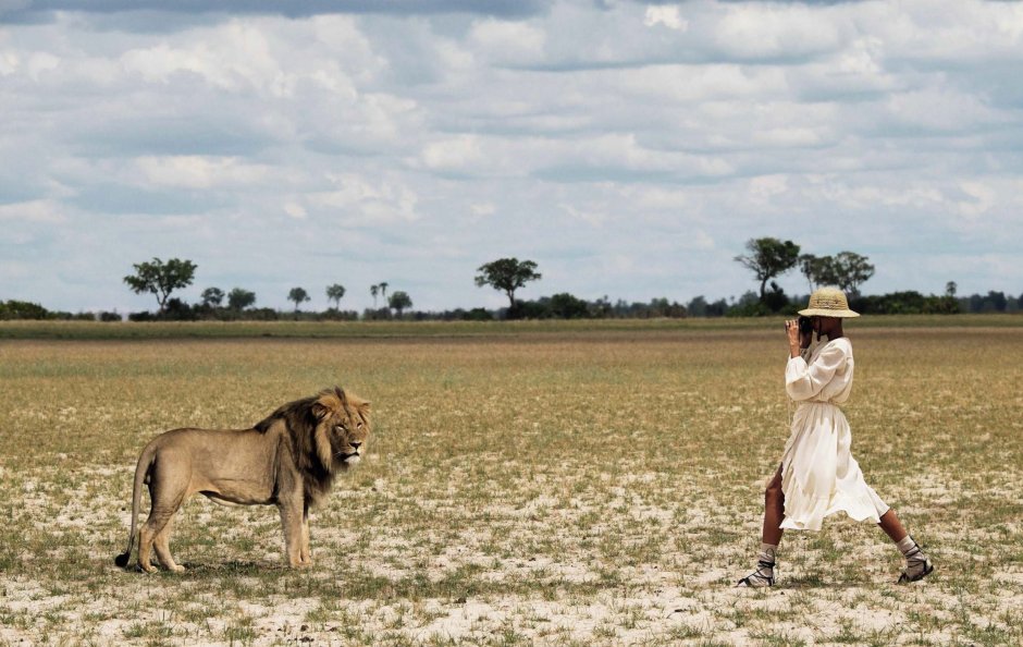 Taha Safari Bachelor