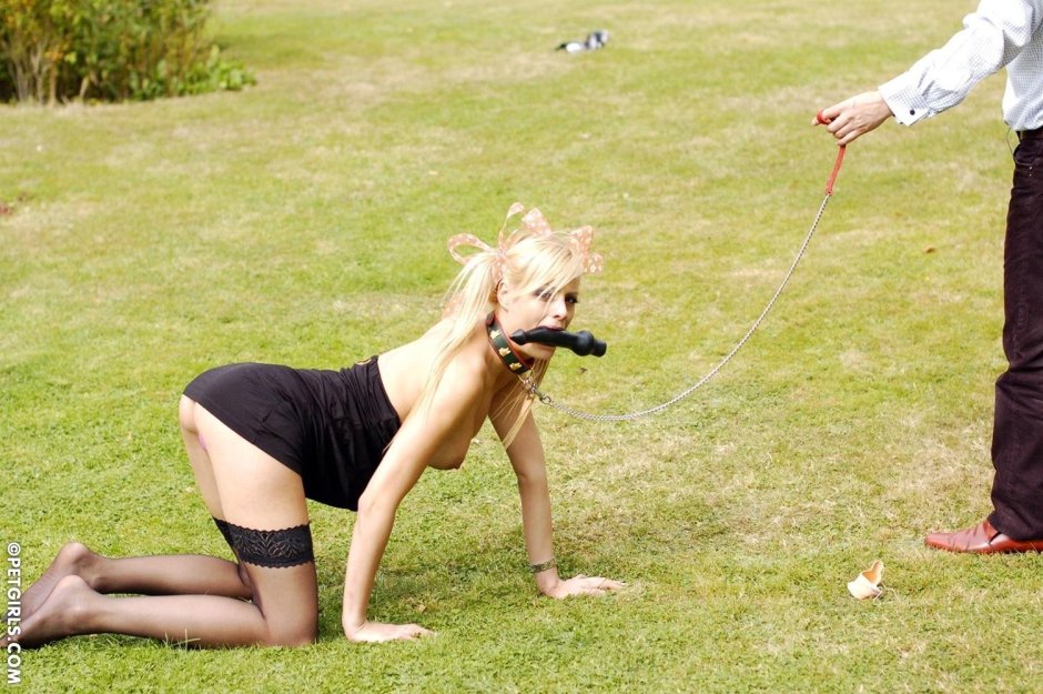 Slave dog on a leash
