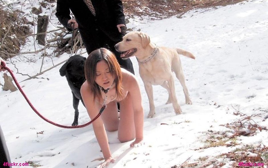 Girl slave on a leash dog