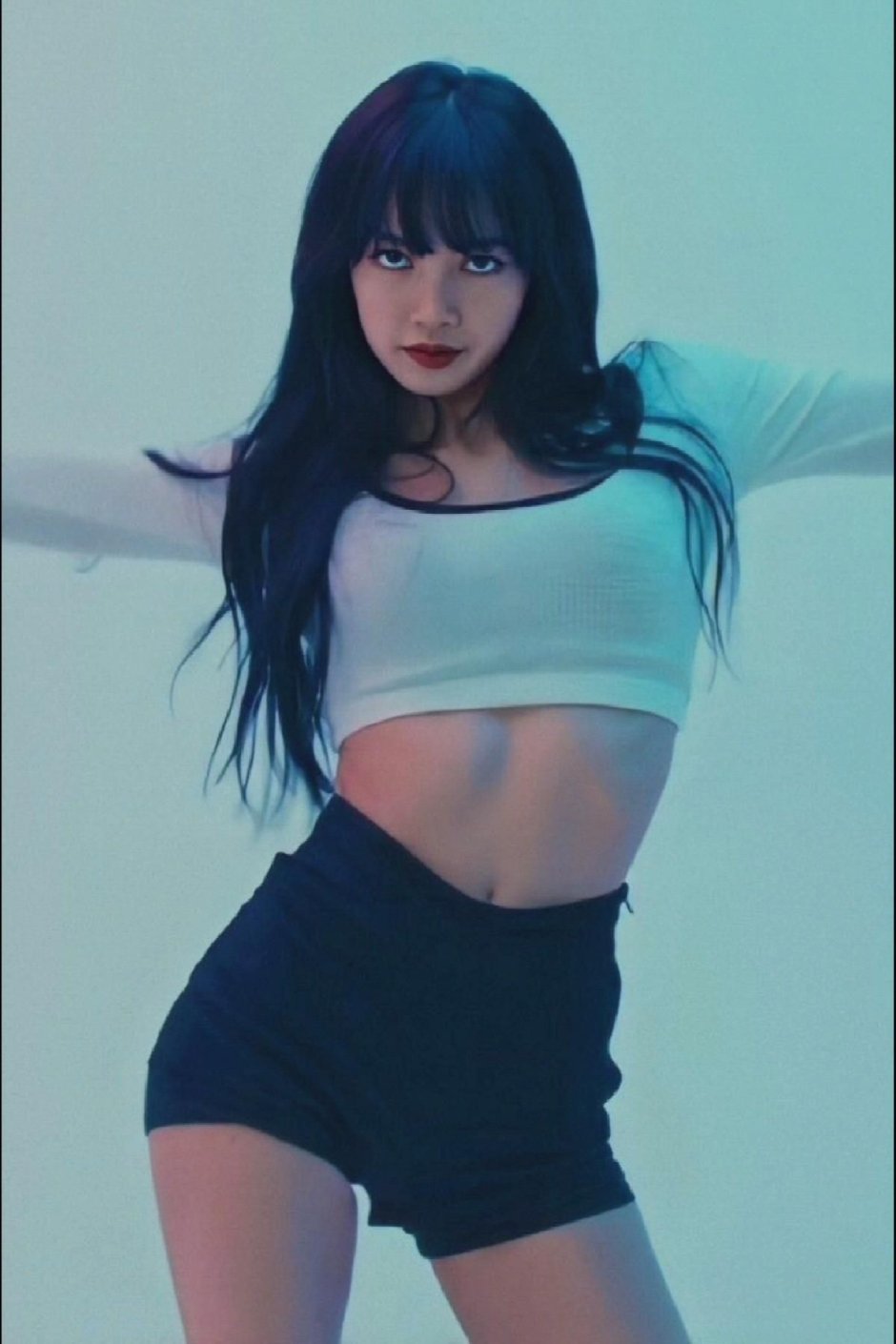 Black Pink Fox in Topik