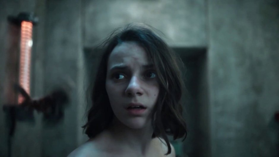 Daphni Kin Dark Principles