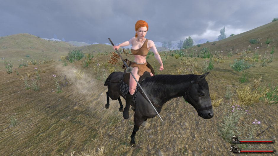 Mount and Blade +18