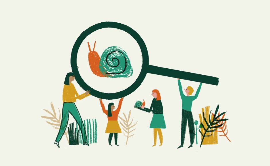 Socialization of art