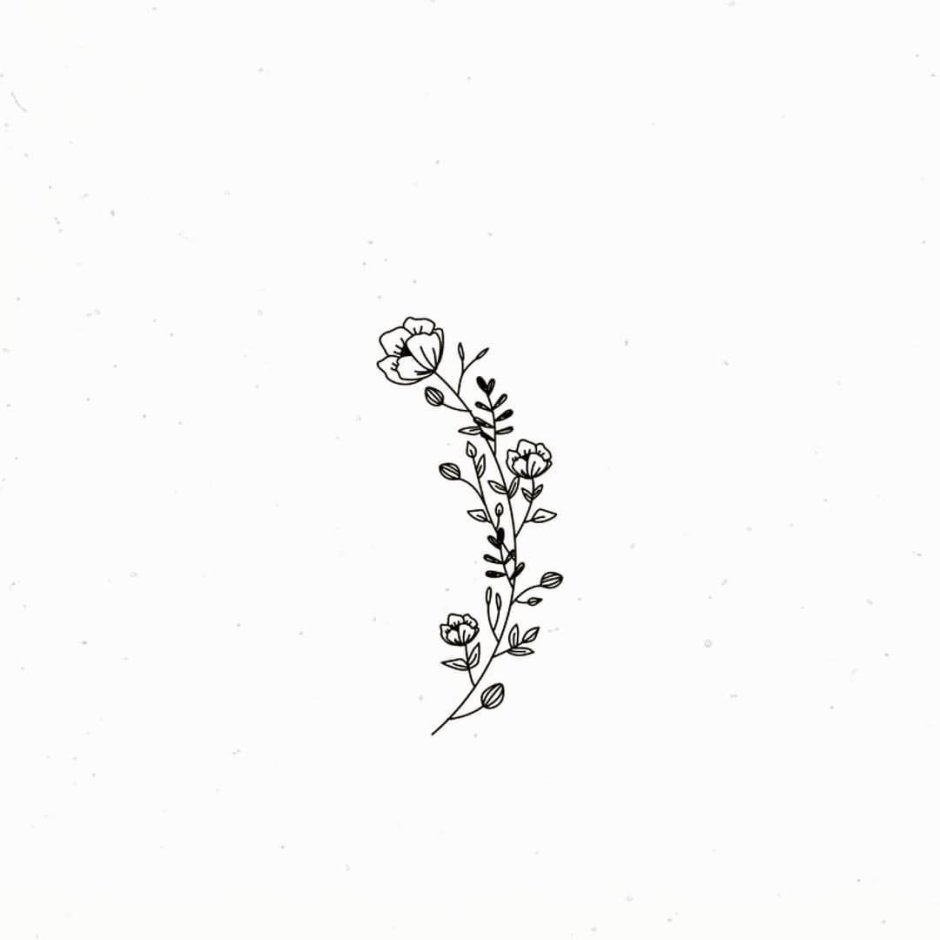 Flowers minimalism sketches