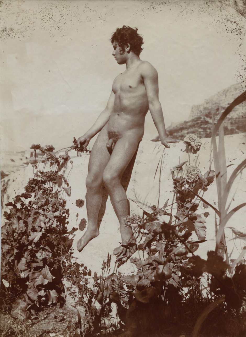 Wilhelm von Galeda Girls