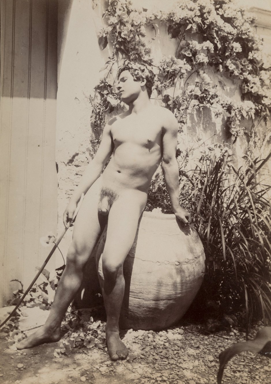 Nagia youths of the Third Reich