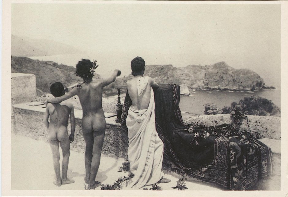 Wilhelm von Galedia Genitalia