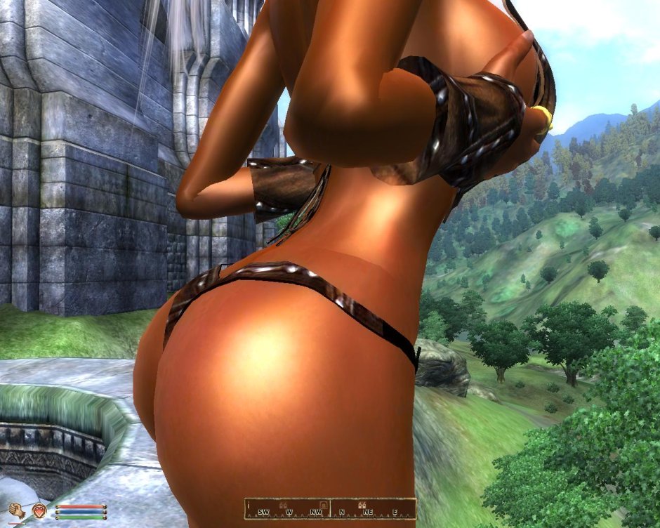 Screenshot covers the chest with hands Oblivion Mods