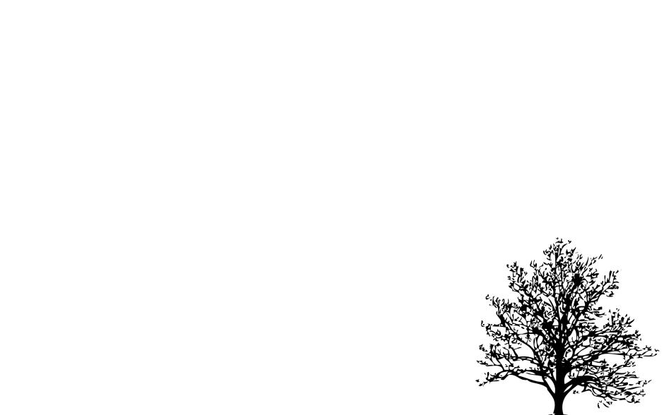White background on the desktop