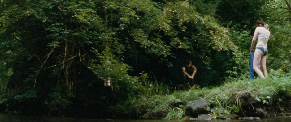 Rachel Herd Wood Tits