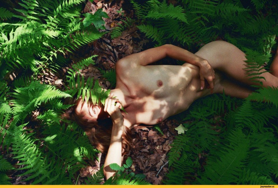 Naked girls in fern