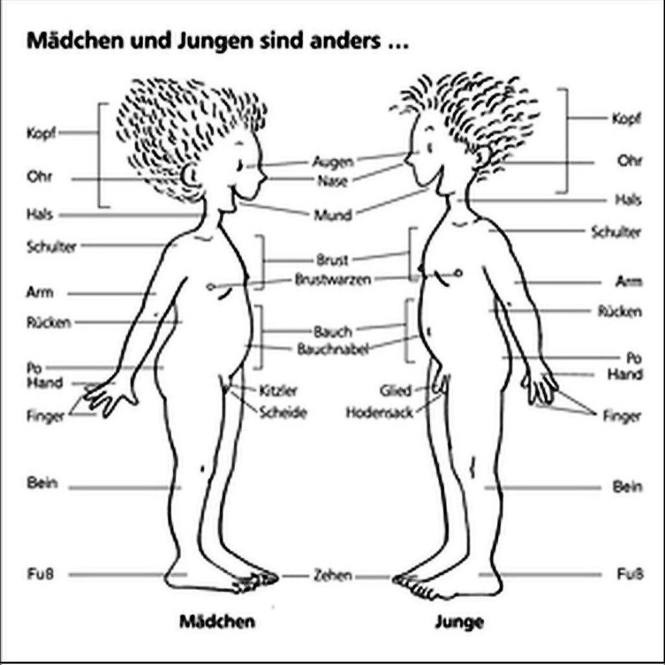 RFIUS ARBEITSBLäTTER
