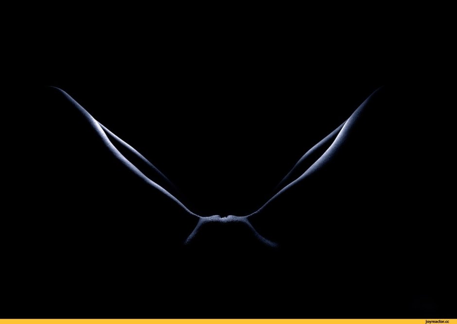 Black pussy on a dark background