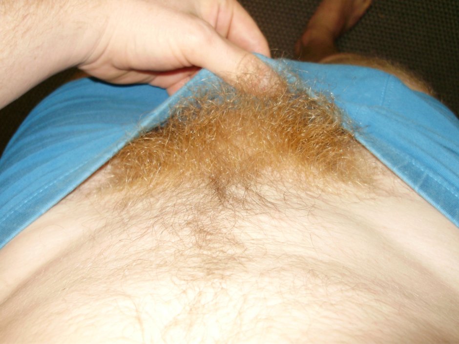 Pubic hair in men