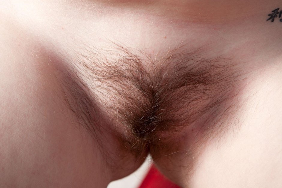 Little hair on the pubis