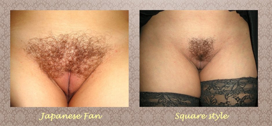 Female hairstyles on the pubis