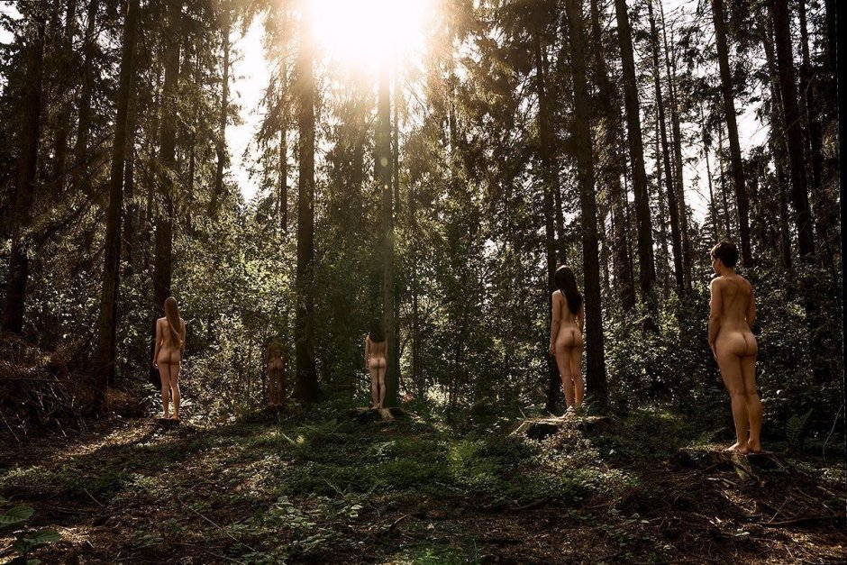 Adventure naked in the forest