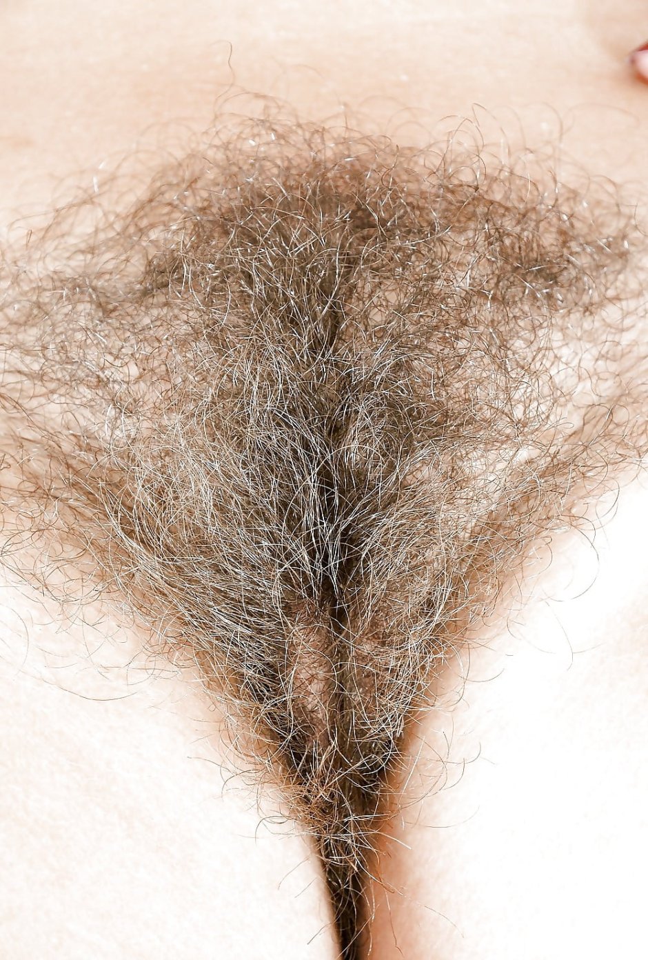 The last pubic hair of the old woman